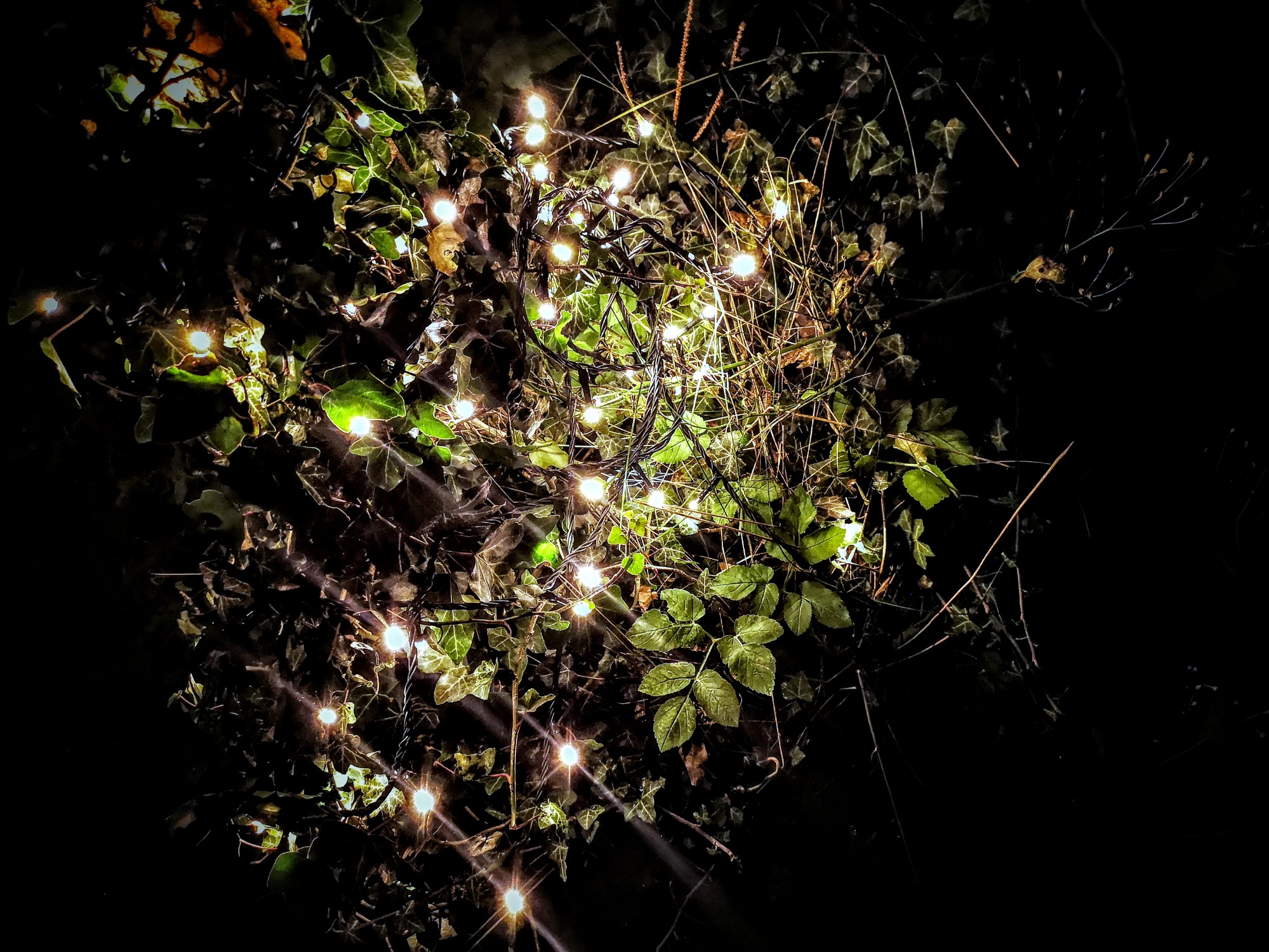 IMG 20191120 052500 01