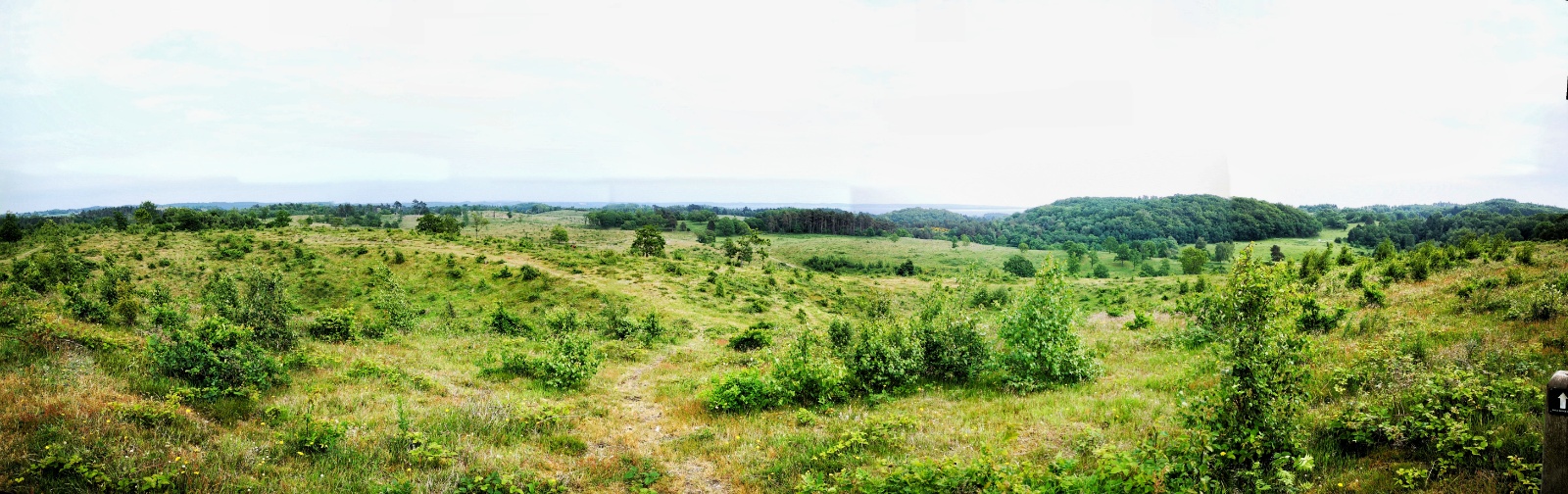 PANO 20200614 123616 02